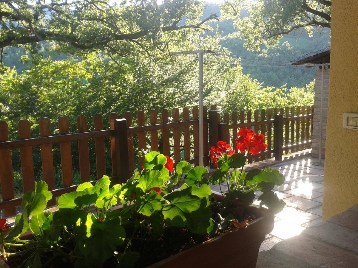 Agriturismo Orsaiola Urbania Extérieur photo