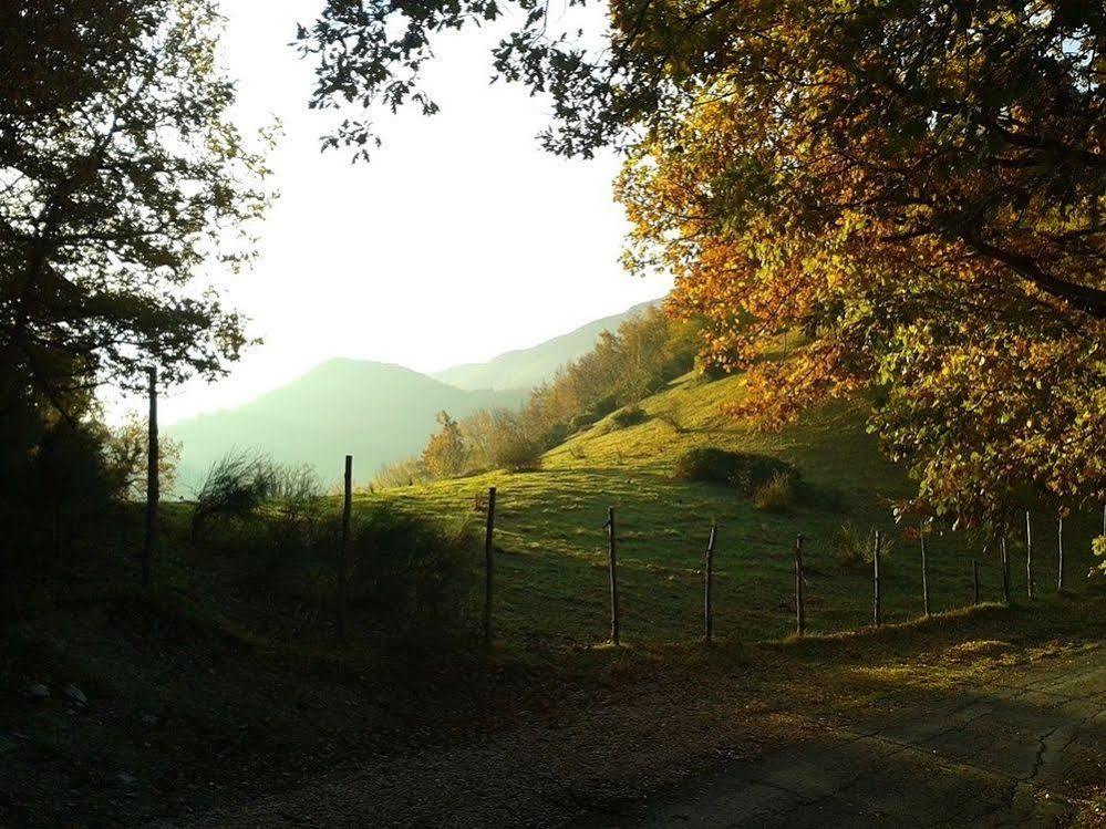 Agriturismo Orsaiola Urbania Extérieur photo